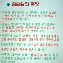 참솔영농조합