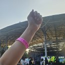 2024 시민행복 콘서트 | 파크콘서트 2025 성남 분당 후기(잔디석 웨이팅, 주차, 준비물 등)