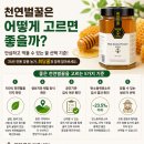 희당꿀