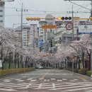 경산옥곡동우체국 이미지