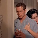 양철지붕위의고양이 | 독서후기/뜨거운 양철 지붕 위의 고양이