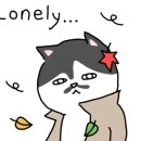 묘하우스 이미지