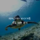 아라글로벌N어소시에이션 | [일본]미야코지마 거북이 공짜로 볼 수 있는 해변::무료 해변, 유료 투어 비교
