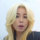 무궁화미용실 - 청도군 범곡길 3-11 | 무궁화미용실