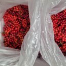 미자농장 이미지