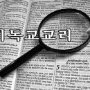 교리 Daum카페