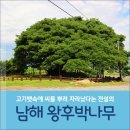 남해푸른하늘은하수펜션