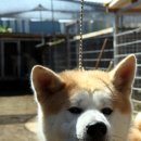 키이로 - 해운대구 송정중앙로36번길 22 | 키이로