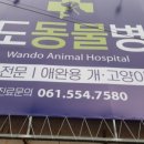 완도동물병원 이미지