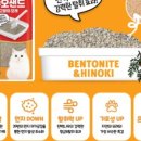 챠오챠오 이미지