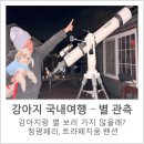 트라페지움 | [강아지 청평여행 - 네발트립 청평] 트라페지움 펜션 별관측, 별보기여행, 청평페리 탑승, 강아지숲...