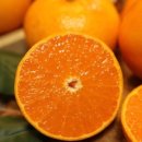 국대과일 이미지