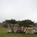 그린오토캠핑장 이미지