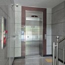 자연휴양림 얕은 물놀이장 | 장령산 자연휴양림 휴양관 고향 숙박 - 금천계곡 물놀이장 후기