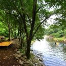 삼정펜션 이미지