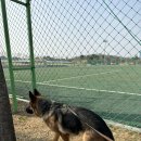 화합공원 이미지