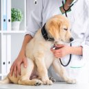 소망동물병원 이미지