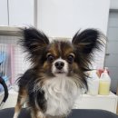 MUNG MOO 이미지