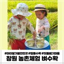 빗돌배기마을(송등) | 창원 농촌체험 벼수확 땅콩수확 빗돌배기마을 체험후기