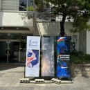 사하구 홍티로 | [부산 전시] 홍티예술촌 청년작가발굴기획전 / 최다솜 《Lucid Dream》