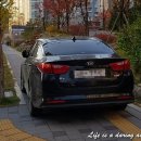 주정차단속-041 이미지