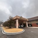 JC하우스 | ⛳ 동원썬밸리CC 3월초 봄 라운딩 후기