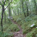 오투(O₂)모텔 | [2017년] 오투(O₂)숲으로 - 오투리조트 산책로