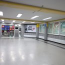 용인대태권도장 이미지