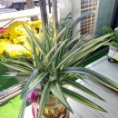 혜린농장 이미지