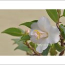 날마다잔치 이미지