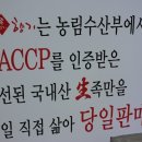 김포족발