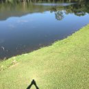 아재로드 이미지