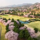 (주)강남제일 이미지