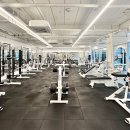 바디프로짐 이미지