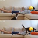 갑수C 네이버블로그