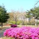 일동라스베가스 공원 이미지