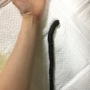 서공동물병원 이미지