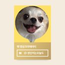 하동애