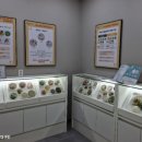 둔산엔도내과의원 이미지