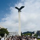 1318 이미지