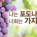 포도나무 - 구로구 개봉로17길 22 | 포도나무