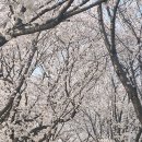 도담순천동물약국 | 전라남도 순천시 약국 List 추천 6곳, 열린 약국, 토요일, 일요일, 공휴일, 심야