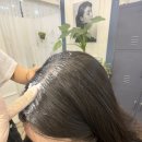 리뷰 | 창원탈모관리 창원smp 오드리햅번 가르마 관리 1회차 후기