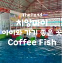 놀이터coffee | 치앙마이 아이랑 가기 좋은 곳 Coffee Fish 방문후기