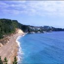 델리지아 이미지