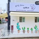 우리집강아지예쁘개 이미지