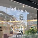 bd Hair 이미지