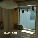 전주대학교박물관 | 전주한옥마을 숙소추천 서학368펜션 2박3일가족여행 내돈내산 솔직후기