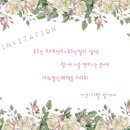 로즈-인 이미지