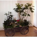 지향가든 이미지